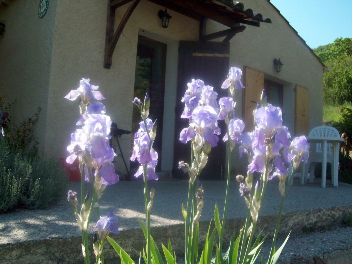 Gite Les Iris La Robine-Sur-Galabre Екстериор снимка